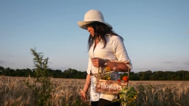 Mujer Camina Toca Las Orejas Trigo Campo Cultivo Amarillo Seco — Vídeo de stock