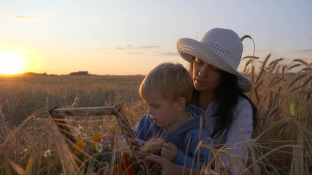 Mor Fortæller Søn Miljø Mens Han Hviler Marken Aften Solnedgang – Stock-video