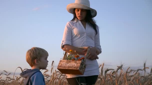 Mother Telling Son Environment While Resting Field Evening Sunset Rural — Stock Video