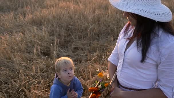 Matka Vypráví Synovi Životním Prostředí Když Odpočívá Poli Večerní Scéna — Stock video