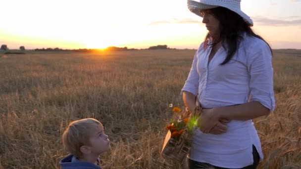 Mor Fortæller Søn Miljø Mens Han Hviler Marken Aften Solnedgang – Stock-video