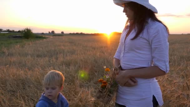 Mor Fortæller Søn Miljø Mens Han Hviler Marken Aften Solnedgang – Stock-video