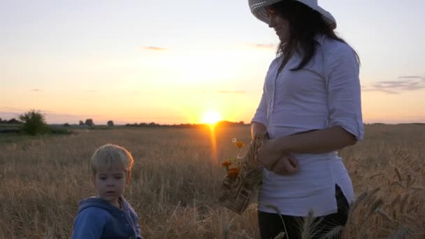 Мать Рассказывает Сыну Окружающей Среде Время Отдыха Поле Закат Сельской — стоковое видео