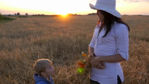 Mor Fortæller Søn Miljø Mens Han Hviler Marken Aften Solnedgang – Stock-video