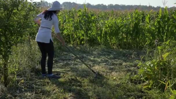 Genç Kadın Çiftlikteki Arka Bahçede Tırmıkla Temizliyor — Stok video