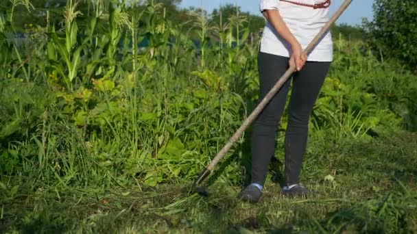 Genç Kadın Çiftlikteki Arka Bahçede Tırmıkla Temizliyor — Stok video
