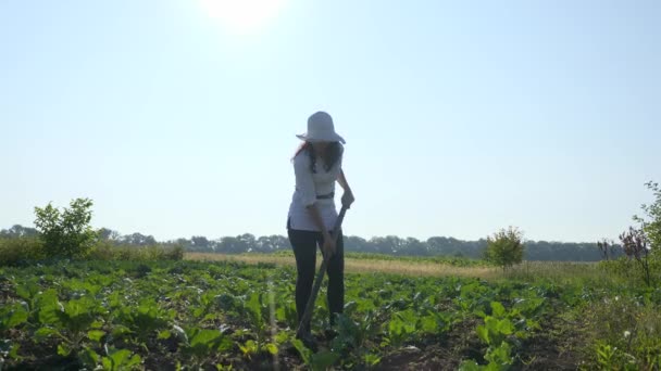 Vrouwelijke Boer Ontspannen Denken Terwijl Het Cultiveren Van Kool Onkruid — Stockvideo