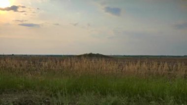 Eski Ortaçağ Tarlaları Arasında Barrow. Avrupa 'da Gömme Höyüğü Steppe