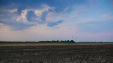 Tarım Tarlası 'nda Araba Kullanmak. Kırsal Arazi Üzerinde Gökyüzü Ufku