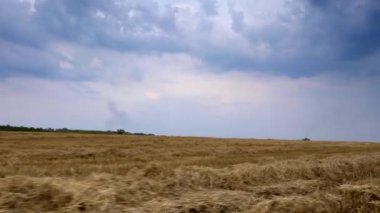 Buğday tarlasında biçilmiş saman boyunca sürüş