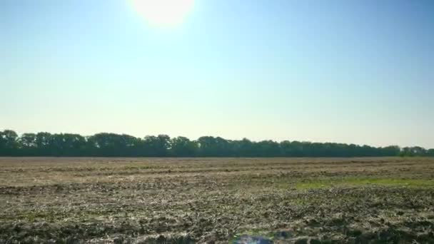 Condução Longo Campo Cultivado Fazenda Sky Horizon Sobre Paisagem Rural — Vídeo de Stock