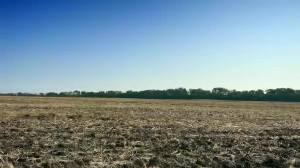 Conduciendo Largo Del Campo Agrícola Cultivado Sky Horizon Sobre Paisaje — Vídeos de Stock