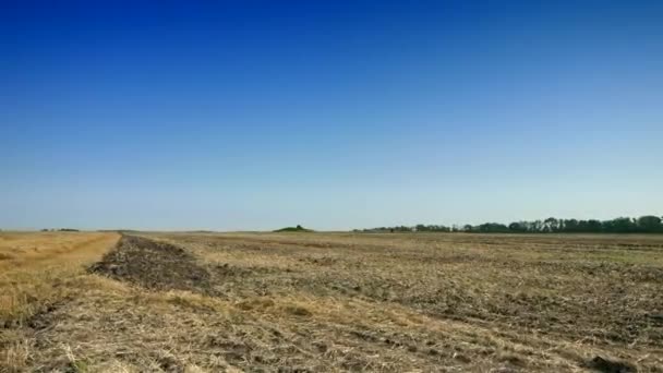 Condução Longo Campo Cultivado Fazenda Sky Horizon Sobre Paisagem Rural — Vídeo de Stock