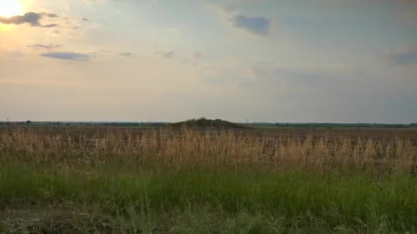 古代中世纪在耕地间的小车 欧洲的土拨鼠草原 — 图库视频影像