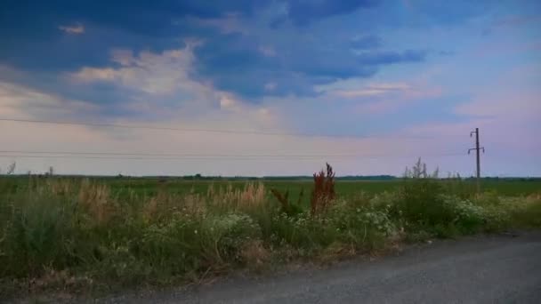 Viajar Coche Por Las Llanuras Pastizales Steppe — Vídeo de stock