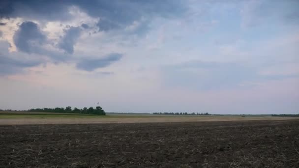 Conduciendo Largo Del Campo Agrícola Cultivado Sky Horizon Sobre Paisaje — Vídeos de Stock