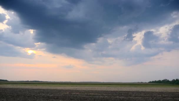 Conduciendo Largo Del Campo Agrícola Cultivado Sky Horizon Sobre Paisaje — Vídeos de Stock