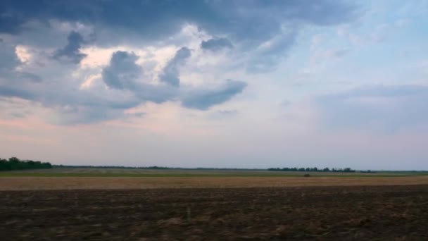 Conduciendo Largo Del Campo Agrícola Cultivado Sky Horizon Sobre Paisaje — Vídeos de Stock