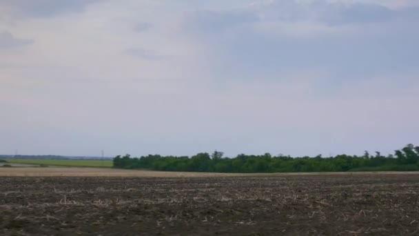 耕作地に沿って運転する 田園風景の上の空ホライズン — ストック動画