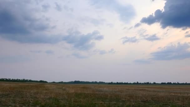 Condução Longo Campo Cultivado Fazenda Sky Horizon Sobre Paisagem Rural — Vídeo de Stock