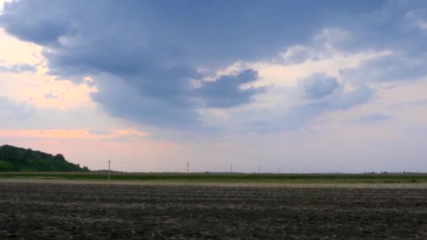 沿着耕地开车 乡郊景观的天空地平线 — 图库视频影像