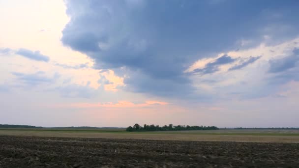 Entlang Der Bewirtschafteten Ackerfläche Fahren Himmelshorizont Über Der Ländlichen Landschaft — Stockvideo