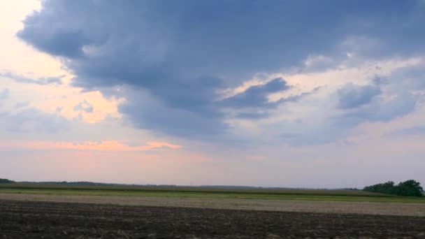 Conduciendo Largo Del Campo Agrícola Cultivado Sky Horizon Sobre Paisaje — Vídeos de Stock