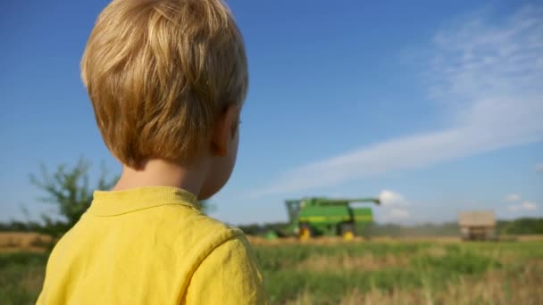 Little Boy Watching Combina Cosechadora Acción Trabajando Campo Trigo — Vídeo de stock