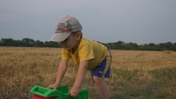刈られた麦畑の近くのおもちゃのトラックで遊ぶ小さな男の子 — ストック動画