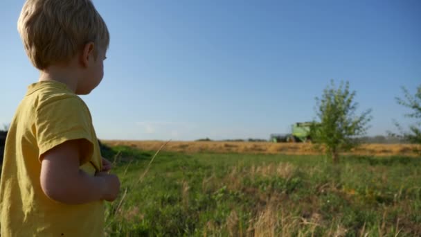 Petit garçon regardant moissonneuse-batteuse en action travailler sur le champ de blé