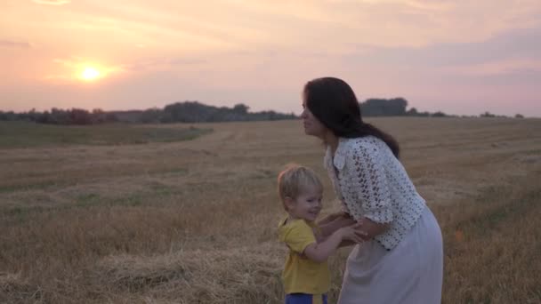 畑の夕日の前で幸せな母と息子 愛と幸福の喜びの肯定的な感情を表現する — ストック動画