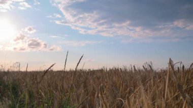 Kaydırıcı Mavi Gökteki Beyaz Bulutları vurdu.