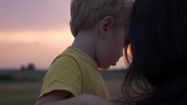 母亲和儿子在地平线上方的农场看日落 — 图库视频影像