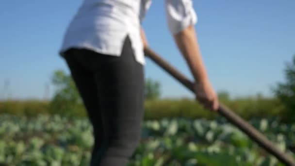 Ženský Farmář Pěstující Zelí Odstraňování Plevele Motykou Dvorku — Stock video