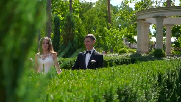 Mariée et fiancée marchent dans le parc en se regardant. Scène urbaine. Mouvement lent - 0,5 Vitesse 60 FPS 