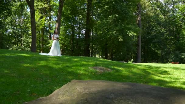 Casal Sobre Natureza Noiva Noivo Park Movimento Lento Velocidade Fps — Vídeo de Stock