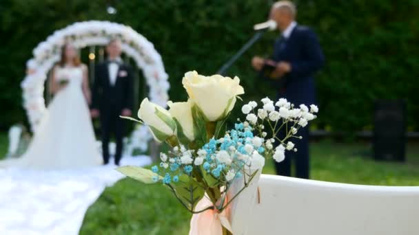 Braut Und Bräutigam Bei Der Naturhochzeit Zeitlupe Geschwindigkeit Fps — Stockvideo