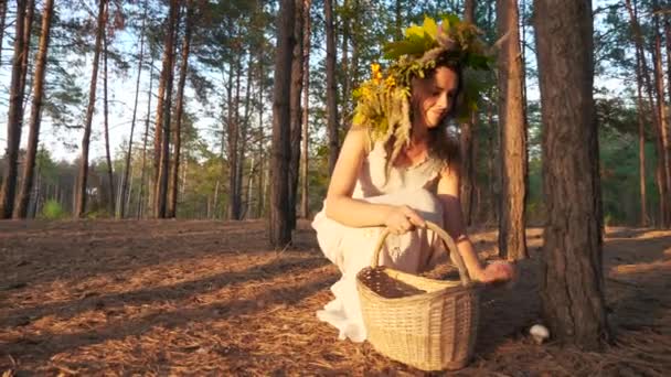 Beyaz Elbiseli Kadın Çam Ormanı Ndaki Basket Çelenk Mantarı Topluyor — Stok video