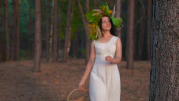 Γυναίκα Λευκό Φόρεμα Στεφάνι Και Basket Walks Pine Forest Αργή — Αρχείο Βίντεο