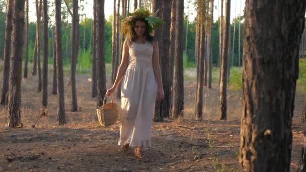 Kobieta Białej Sukience Wieńcem Koszem Szuka Grzybów Lesie Sosnowym Zwolniony — Wideo stockowe
