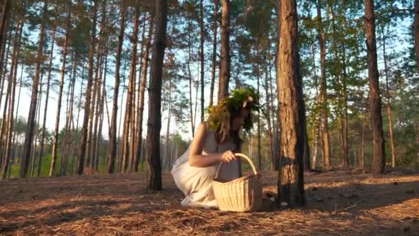 Mujer Vestido Blanco Con Corona Reúne Setas Cesta Bosque Pino — Vídeo de stock