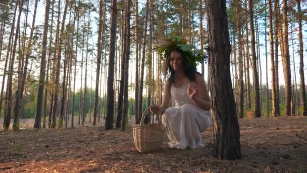 Kobieta Białej Sukience Wieńcem Zbieraj Grzyby Koszyku Lesie Sosnowym Zwolniony — Wideo stockowe