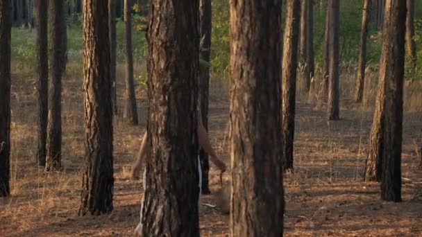 Γυναίκα Λευκό Φόρεμα Στεφάνι Και Basket Walks Pine Forest Αργή — Αρχείο Βίντεο