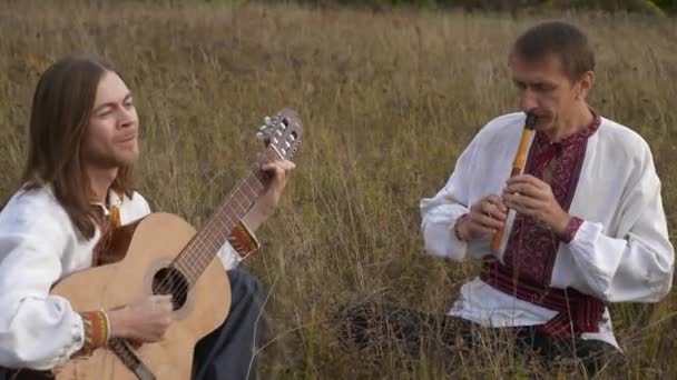 Народные Музыканты Одетые Украинскую Национальную Одежду Играют Траве Среди Полевых — стоковое видео