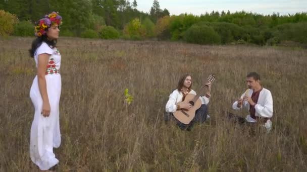 Woman Enjoys Folk Musicians Tocando Grama Campo Perto Floresta Hdr — Vídeo de Stock