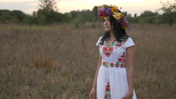 Kobieta Lubi Ludowych Muzyków Grających Trawie Polu Pobliżu Lasu Hdr — Wideo stockowe