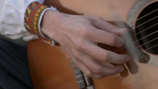 Close Musician Plays Guitar Nature While Sitting Field Hdr — Stock Video