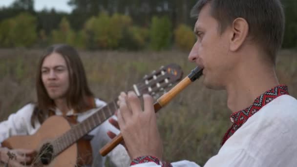 Folk Musiker Klädd Ukrainska Etniska Kläder Spelar Gräs Bland Fältet — Stockvideo