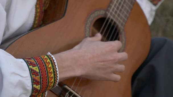 Nahaufnahme Musiker Spielt Auf Der Gitarre Der Natur Während Auf — Stockvideo