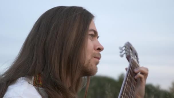 Close Musician Plays Guitar Nature While Sitting Field Inglés Hdr — Vídeo de stock